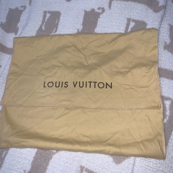 Louis Vuitton Dust Bag - Picture 1 of 4